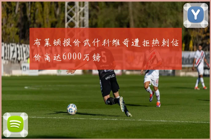 布莱顿报价武什科维奇遭拒热刺估价高达6000万镑